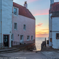Buy canvas prints of Pittenweem by Philip Stewart