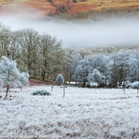 Buy canvas prints of Frozen Trossachs, Scotland by Philip Stewart