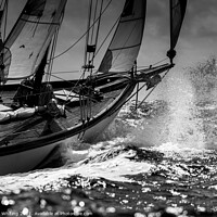 Buy canvas prints of Sailing by Ed Whiting