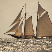 Buy canvas prints of Columbia classic schooner. by Ed Whiting