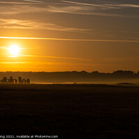 Buy canvas prints of Sunrise over Stonehenge  by Ed Whiting