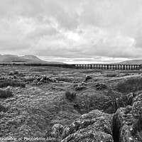 Buy canvas prints of The Ribblehead Viaduct by Ed Whiting