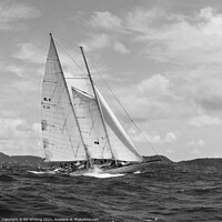 Buy canvas prints of Atrevida in Black & White beautiful classic sailin by Ed Whiting