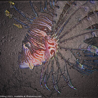Buy canvas prints of Abstract Lionfish, fossil look by Ed Whiting