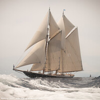 Buy canvas prints of Classic 1923 Schooner, Columbia. by Ed Whiting