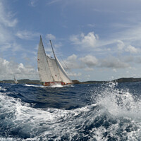 Buy canvas prints of White sails by Ed Whiting