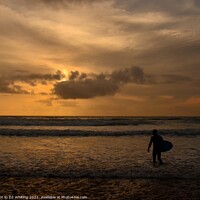 Buy canvas prints of Evening surfing by Ed Whiting