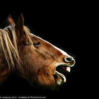 Buy canvas prints of BRAYING HORSE by Simon Keeping