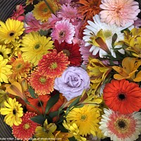 Buy canvas prints of Floral Bouquet by Natalie Hiller