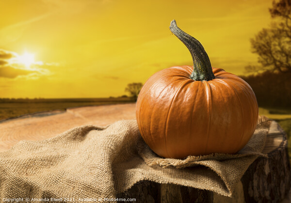 Sunset Pumpkin Picture Board by Amanda Elwell