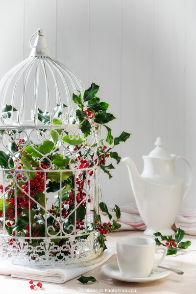 Holly & Berries Birdcage Picture Board by Amanda Elwell