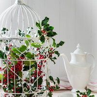 Buy canvas prints of Holly & Berries Birdcage by Amanda Elwell