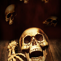 Buy canvas prints of Human Skull by Amanda Elwell