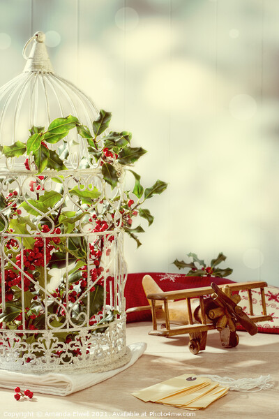 Christmas Birdcage Picture Board by Amanda Elwell