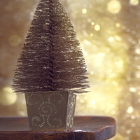 Buy canvas prints of Christmas Tree by Amanda Elwell