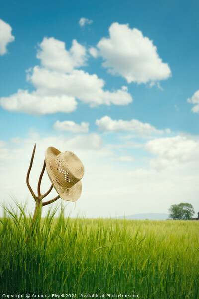 The Straw Hat Picture Board by Amanda Elwell