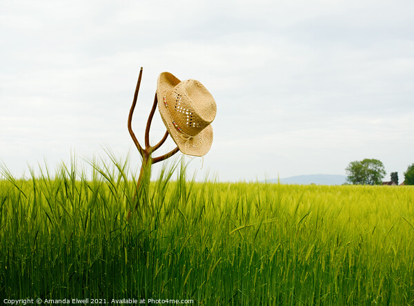 Straw Hat In Landscape Picture Board by Amanda Elwell