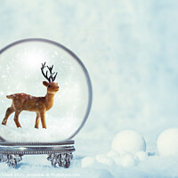 Buy canvas prints of Winter Snow Globe With Reindeer Figure by Amanda Elwell