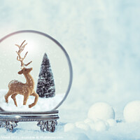 Buy canvas prints of Winter Snow Globe With Reindeer Figure by Amanda Elwell