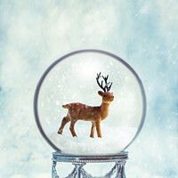 Buy canvas prints of Winter Snow Globe With Reindeer by Amanda Elwell