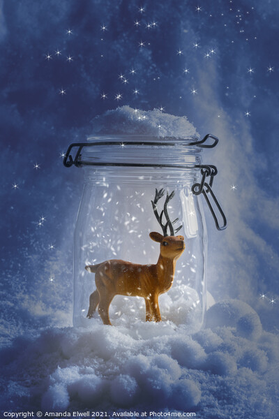 Reindeer Snowglobe Picture Board by Amanda Elwell