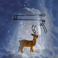 Buy canvas prints of Reindeer Snowglobe by Amanda Elwell
