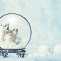 Buy canvas prints of Winter Snow Globe With Polar Bear by Amanda Elwell
