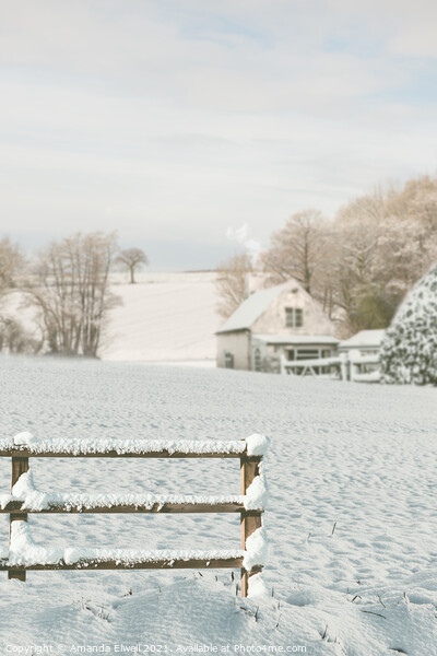 Snow Covered Fence Picture Board by Amanda Elwell