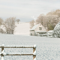 Buy canvas prints of Snow Covered Fence by Amanda Elwell