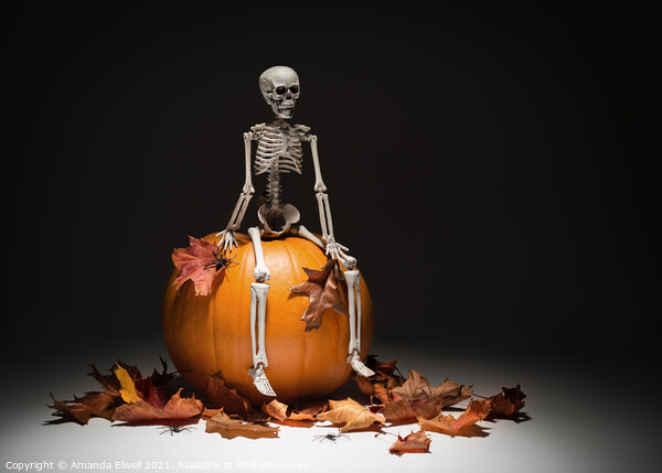 Skeleton With Pumpkin & Leaves Picture Board by Amanda Elwell