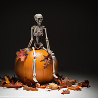 Buy canvas prints of Skeleton With Pumpkin & Leaves by Amanda Elwell