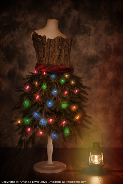 Mannequin Dressed For Christmas Picture Board by Amanda Elwell
