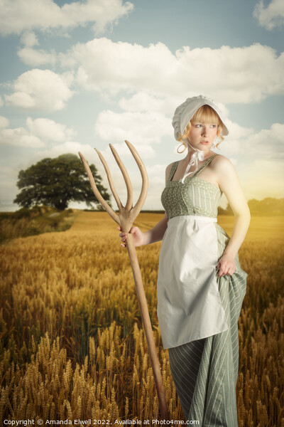Woman In Wheat Field Picture Board by Amanda Elwell