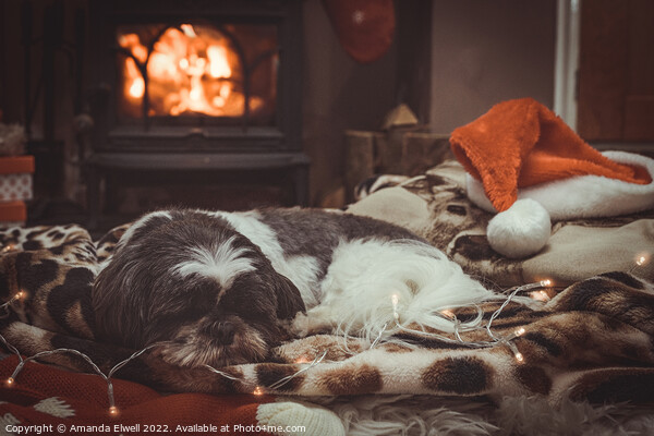 Dog Sleeping By Roaring Log Fire Picture Board by Amanda Elwell