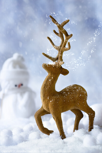 Reindeer In Snow Picture Board by Amanda Elwell