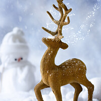 Buy canvas prints of Reindeer In Snow by Amanda Elwell