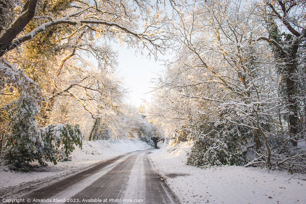Winter Country Road Picture Board by Amanda Elwell