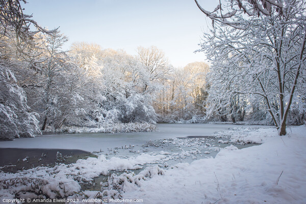 Frozen Pond Picture Board by Amanda Elwell