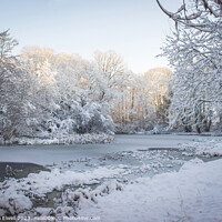 Buy canvas prints of Frozen Pond by Amanda Elwell