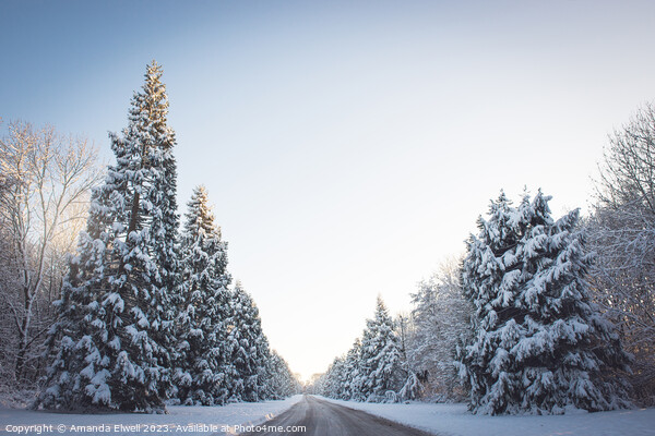 Winter Wonderland Landscape Picture Board by Amanda Elwell