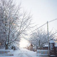 Buy canvas prints of Winter Lane With Snowy Fence by Amanda Elwell
