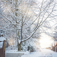 Buy canvas prints of Country Lane In Winter by Amanda Elwell