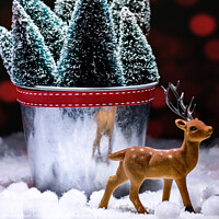 Buy canvas prints of Reindeer Figure With Christmas Trees by Amanda Elwell