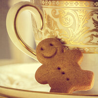 Buy canvas prints of Gingerbread Man In Saucer by Amanda Elwell