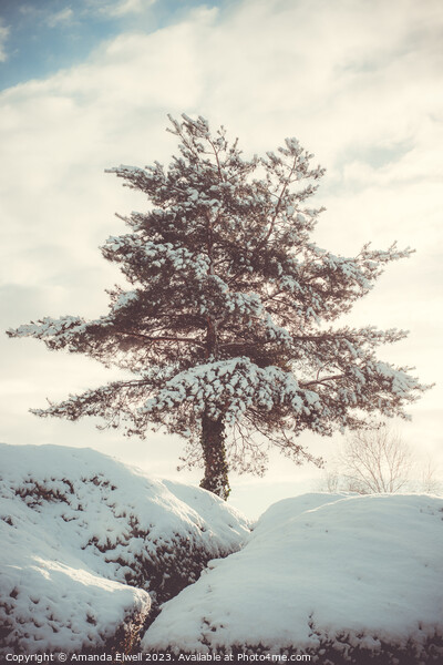 Tree In Snow Scene Picture Board by Amanda Elwell