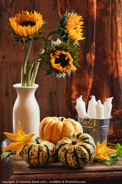 Sunflower & Gourds Still Life Picture Board by Amanda Elwell
