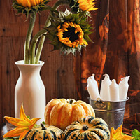 Buy canvas prints of Sunflower & Gourds Still Life by Amanda Elwell