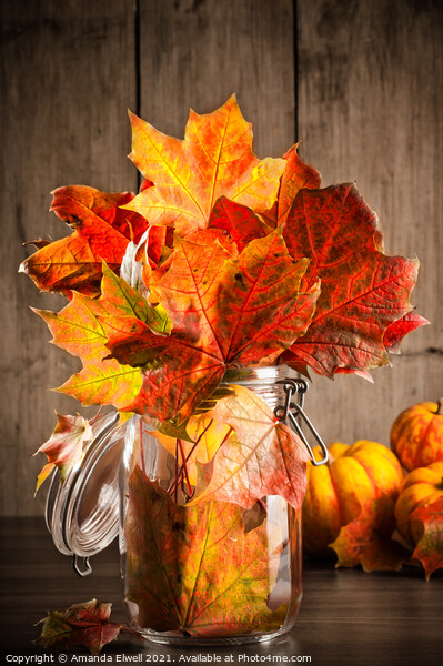 Autumn Leaves Still Life Picture Board by Amanda Elwell