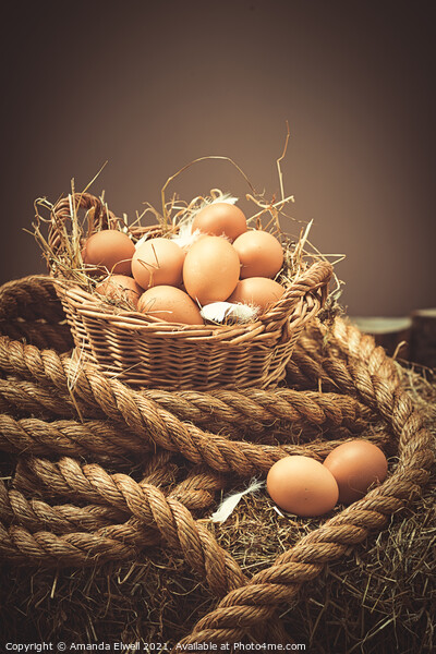 Close Up Of Fresh Eggs Picture Board by Amanda Elwell