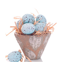 Buy canvas prints of Easter Egg On Straw by Amanda Elwell